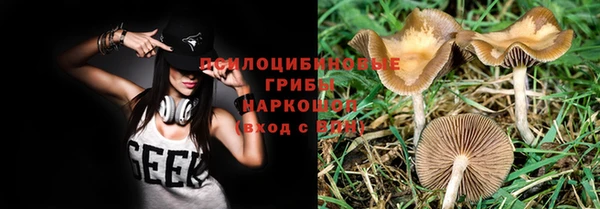 spice Верея